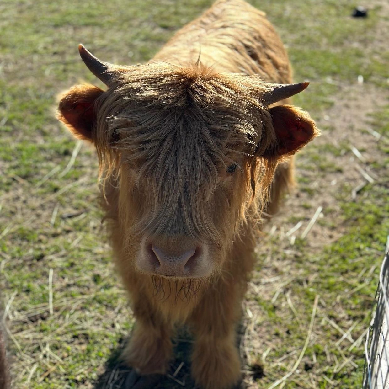 G&G Stables Farm Howell Township, New Jersey