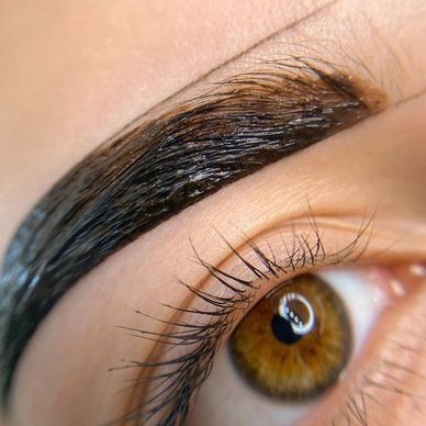 Eyebrow tinting auckland
