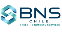 BNS Chile