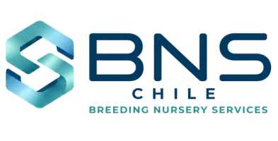 BNS Chile