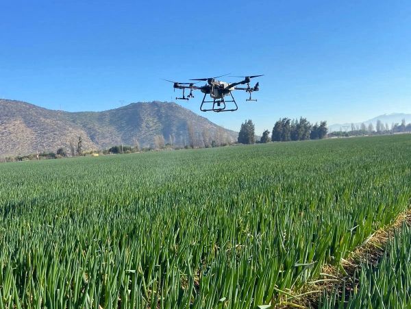Dron volando sobre un campo verde con montañas de fondo.