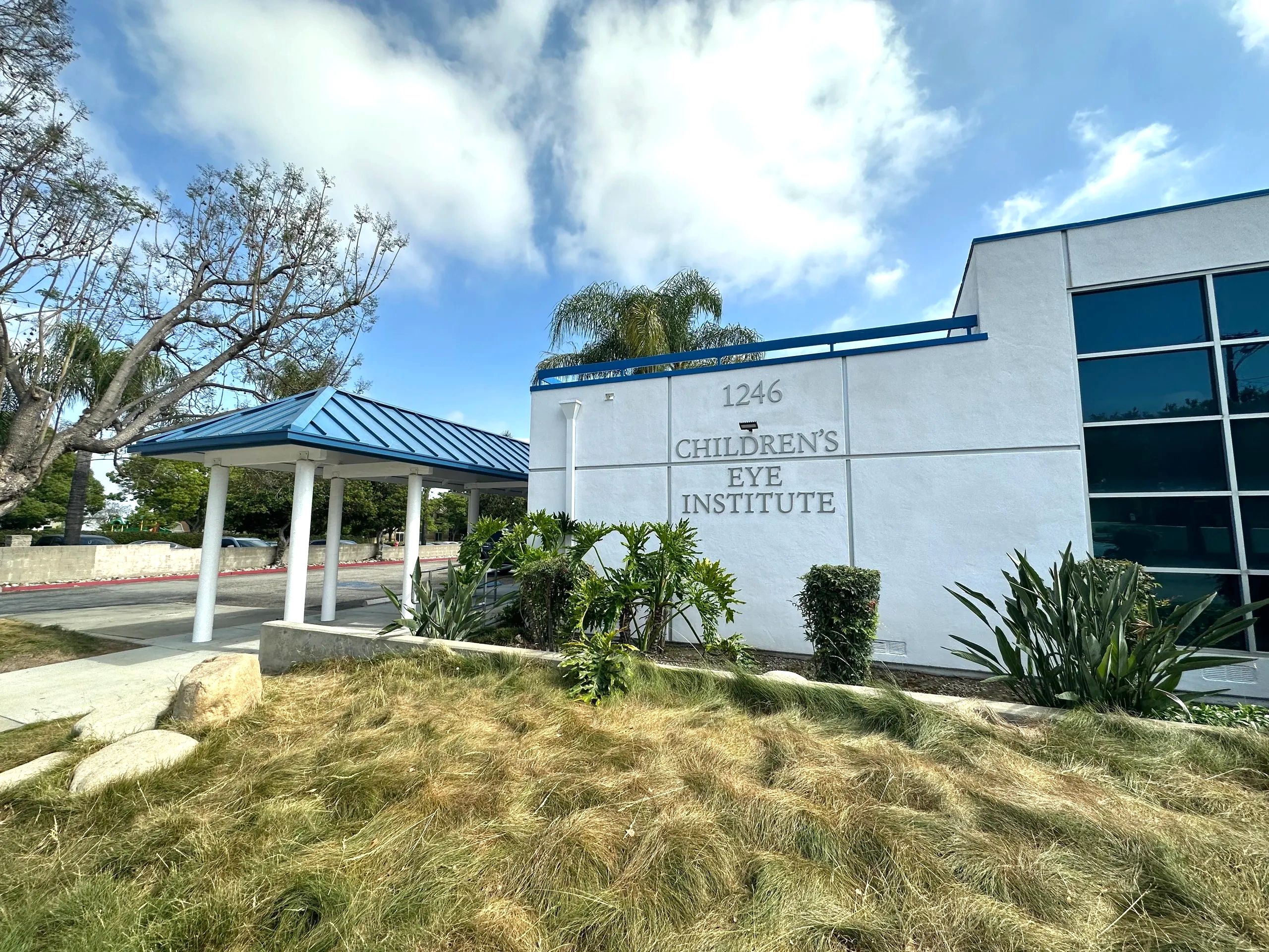 children's eye institute