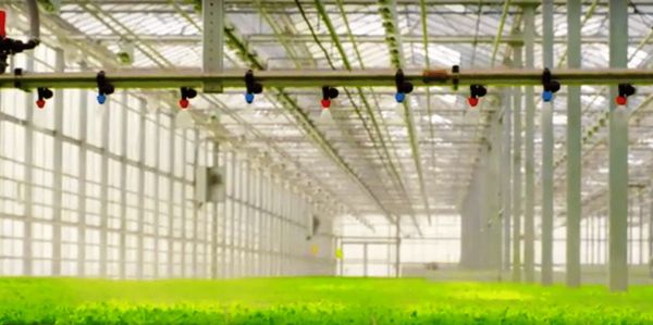 Innovative Technology, converts waste to 3D carbon cartridges to print greenhouses.