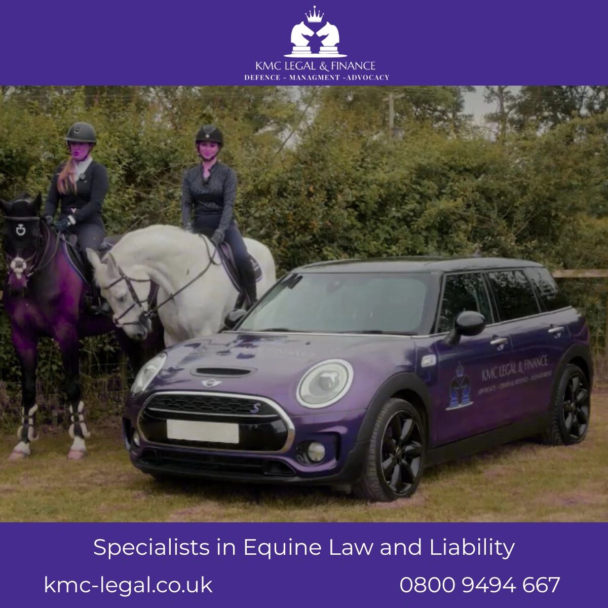 Equine Negligence: What owners need to know