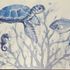 Sealife placemat #Sealife #placemat 