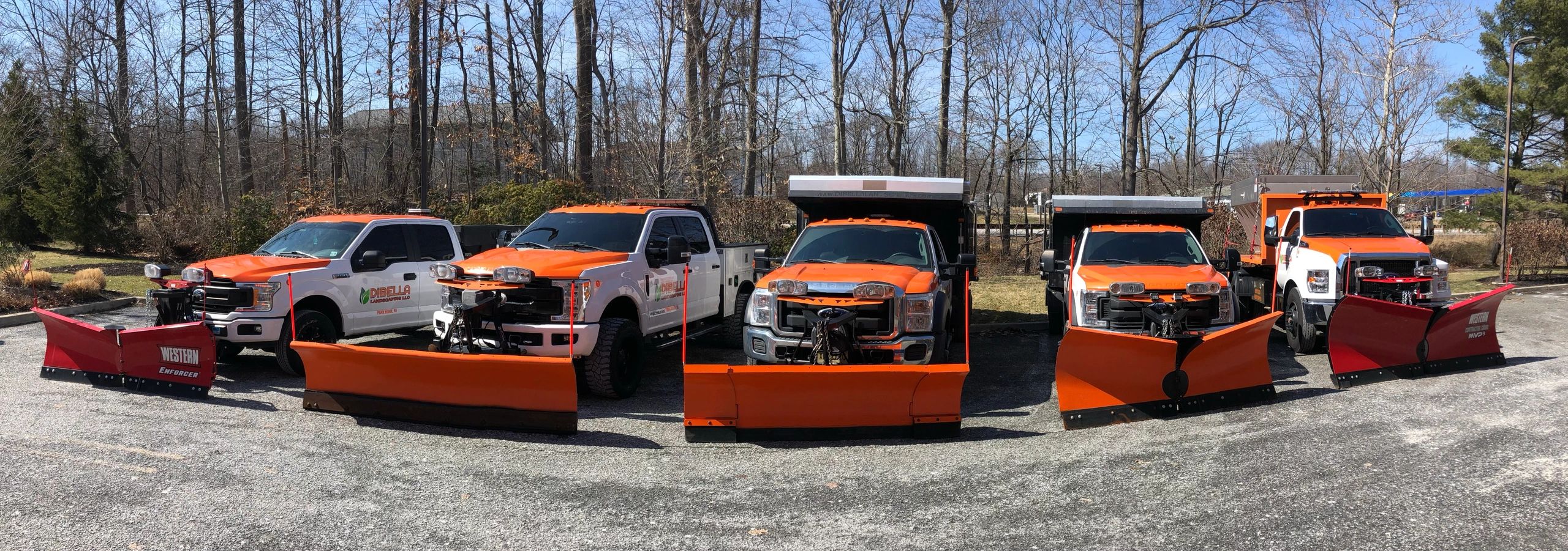 DIBELLA LANDSCAPING LLC D/B/A DIBELLA SNOWPLOWING LLC logo