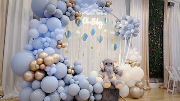 Baby Shower, Balloon Garland Elephant, Party Hall, Event Hall Palos Verdes, Event Planner And Décor