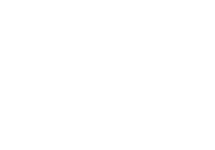 Amazing Glazings