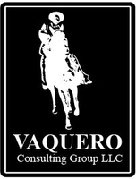 Vaquero Consulting Group, LLC. 