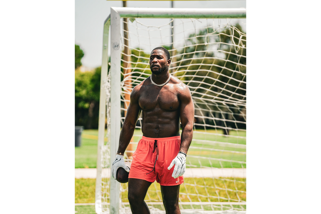 Jonnu Smith Pittsburg Steelers