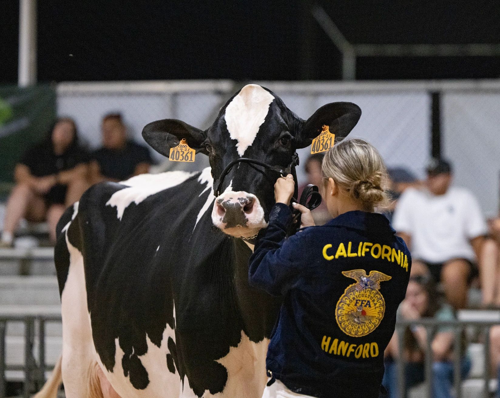 Image of the FFA Dairy Show at the 2023 Kings Fair, taken by Blakeley Hittson