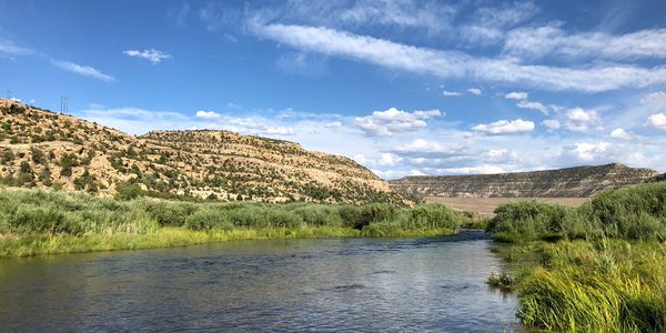 Fly Fishing Guide on the San Juan River