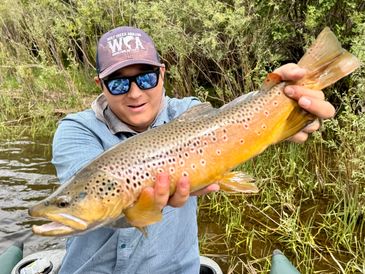 San Juan Fly Fishing Guide Presley Garcia holds a big colorful Brown Trout
