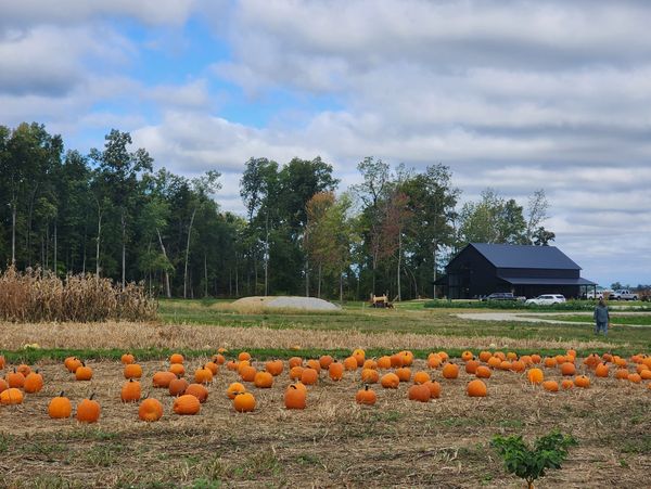 Fall Pumpking Picking at Ironwood Farms in Lebanon, Indiana