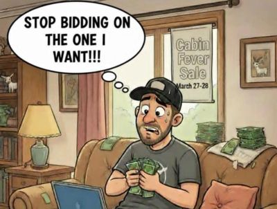 Man frustrated while bidding online for cabin sale.