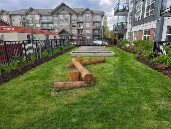 Urban garden area with wooden logs and raised beds between apartment buildings.