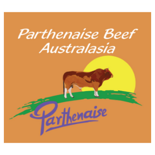 Parthenaise Beef Cattle 
~ Australasia 