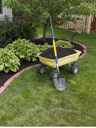 Garden Bed Preparation Penfield NY