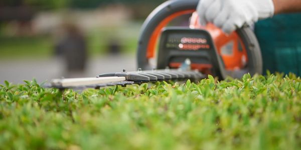 Professional Hedge Trimming Pittsford NY