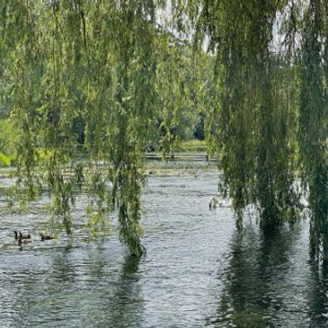 The River Test, Hampshire UK
