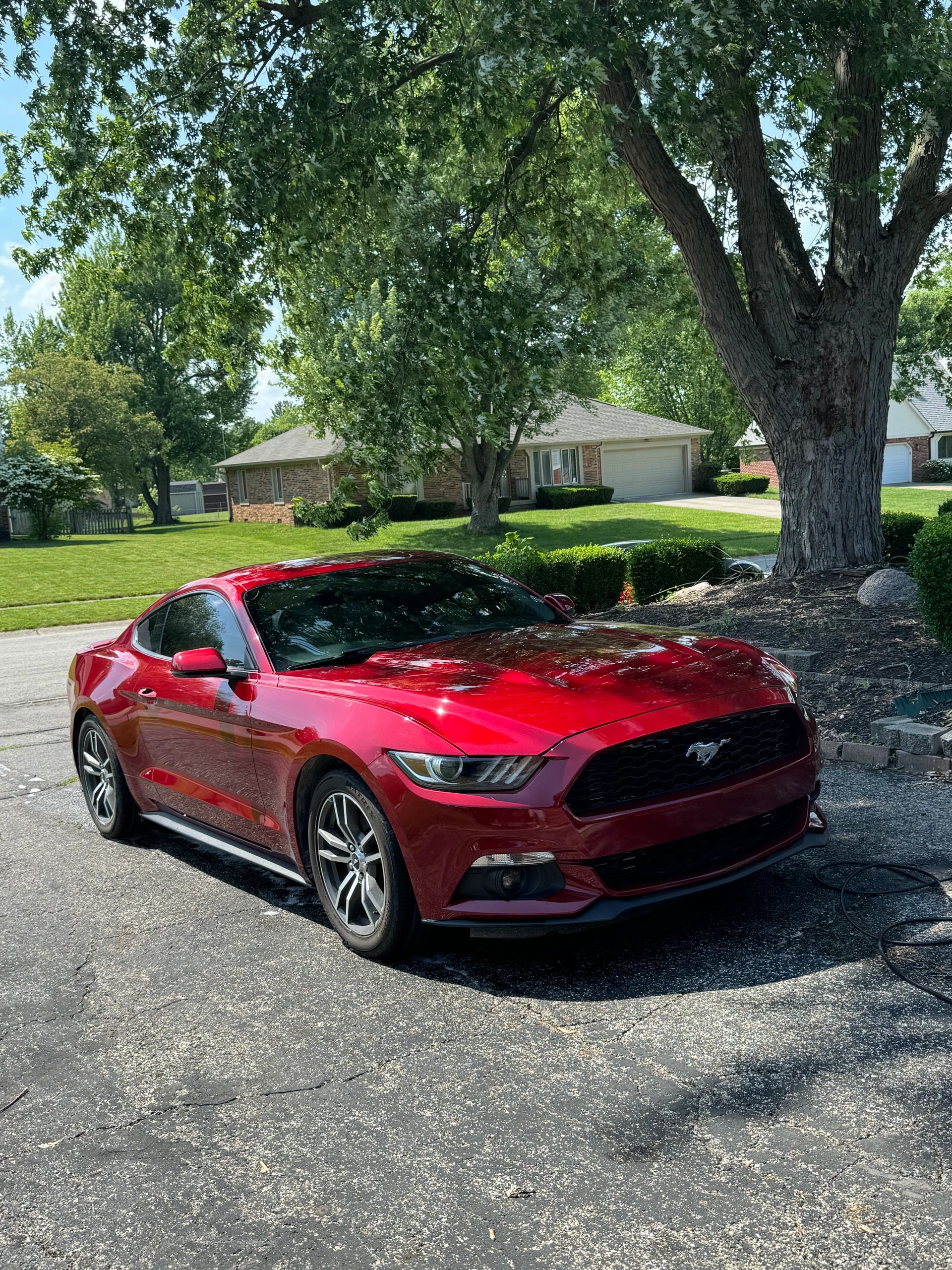 Adams Auto Detailing