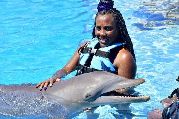 Pet the dolphins with braids in salt water.