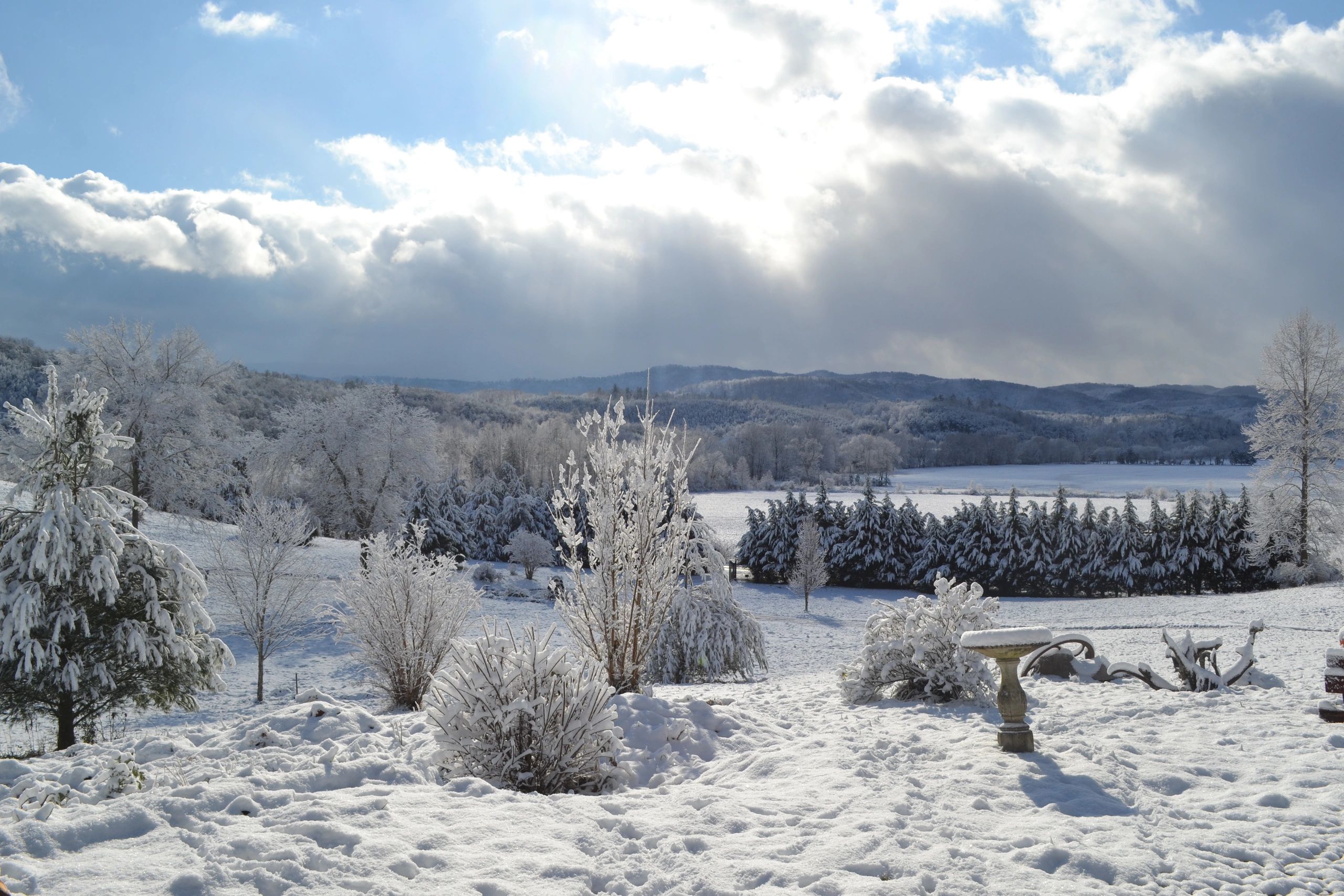 Estate Sale, Antique Appraiser Antyke Loudon, Tennessee