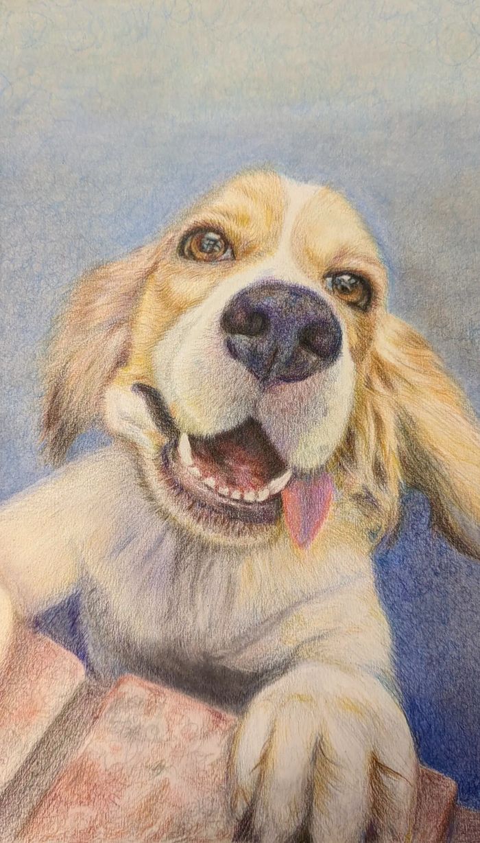 Bili, pastels and colored pencil