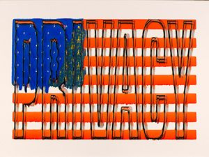 Jeff Becker, Flag Privacy, Archival Inkjet, 13 x 19