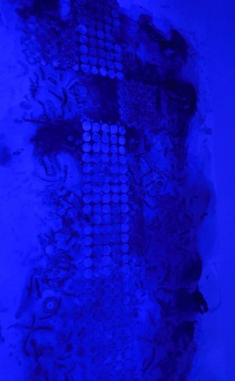 Installation view, Immersed in Blue, Spacecraft bathed in blue light, ECOCA, 2018