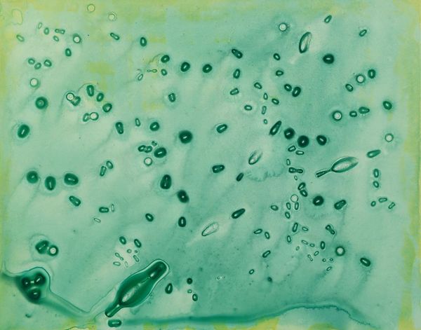 Ellen Hackl Fagan, Sonic Equivalent, 2002, Ink and Acrylic on Clayboard Panel
