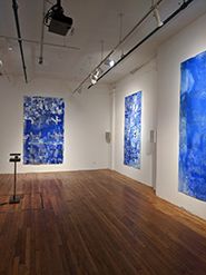 Ellen Hackl Fagan, Seeking the Sound of Cobalt Blue/Fever Songs, Installation documentation, 2019