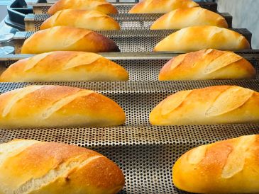 Freshly baked golden bread loaves cooling on racks.