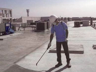 actual site of cws100 application by spray pump method for proper penetration & fast implecation.