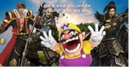 VShed 2