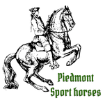 Piedmont Sport Horses