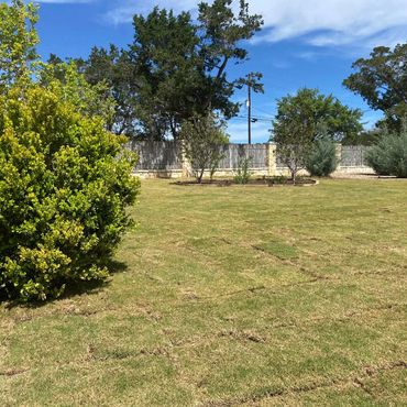 Sod Installation. Bermuda sod. Tree Installation. Planting Trees. Plant installation. 