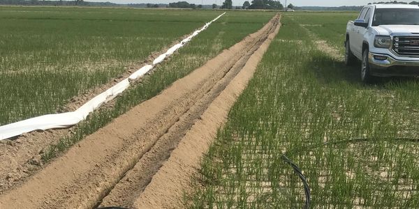 Ag Electric Services replacing underground electrical service to a well on the farm.