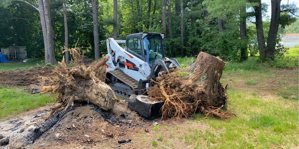 Stump Removal - Pulling