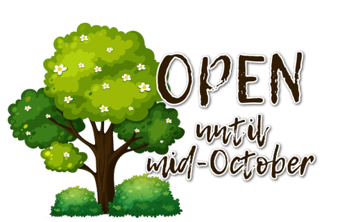 Wabigoon Lake RV Park 
Closed for the Season
 Open MID MAY 2025