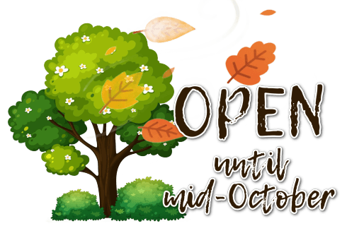 Wabigoon Lake RV Park 
Closed for the Season
 Open MID MAY 2025