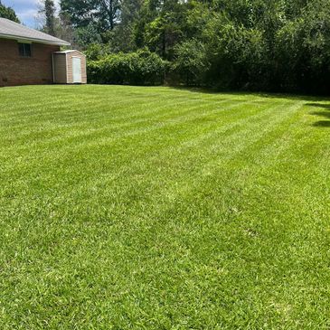 Professional Lawn Care Services - No Mow Worries LLC