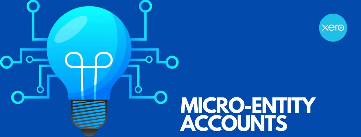 Micro-entity accounts for limited companies: preparation and submission of statutory accounts.