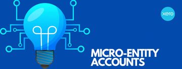 Accountants fee schedule for micro-entity accounts service in relation to limited companies.