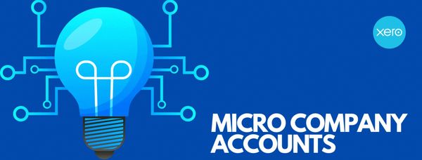 Our company accounts filing service is for the preparation and submission of micro company accounts.