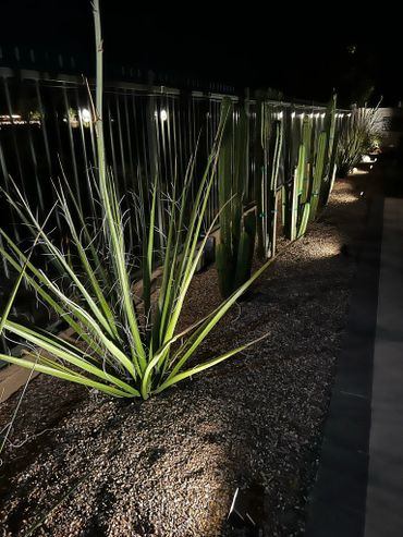 LED LIGHTING ON LANDSCAPE AREAS