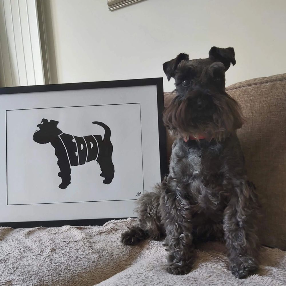 A schnauzer called Teddy sitting on the sofa beside his framed plush pet portrait