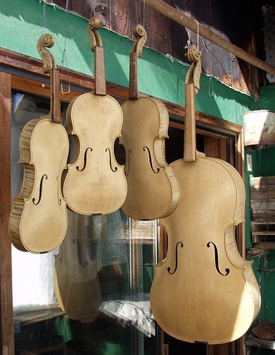 The 2009 Matched Quartet in the greenhouse.