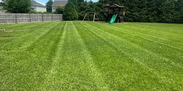 Professional lawn care and mowing service in New Bern NC by Surface Medic