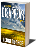 A Person Could Disappear Here by Terri George 3D cover